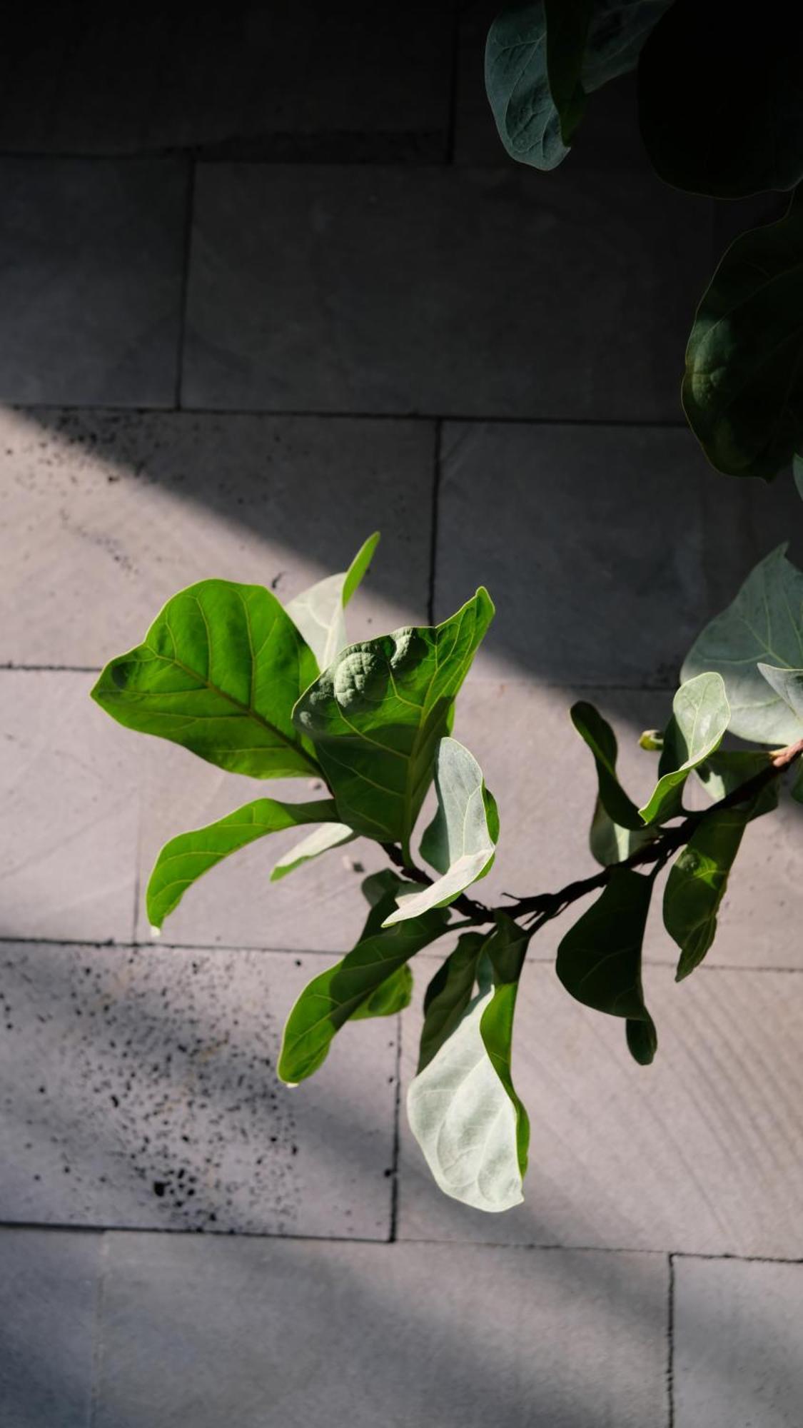 Marilyn Boutique Hotel Nha Trang Kültér fotó